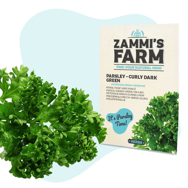 Kit de sementes de ervas aromáticas para cozinha - Zammi's Farm