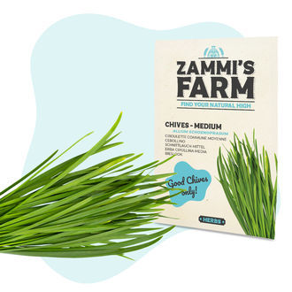 Kit de sementes de ervas aromáticas para cozinha - Zammi's Farm