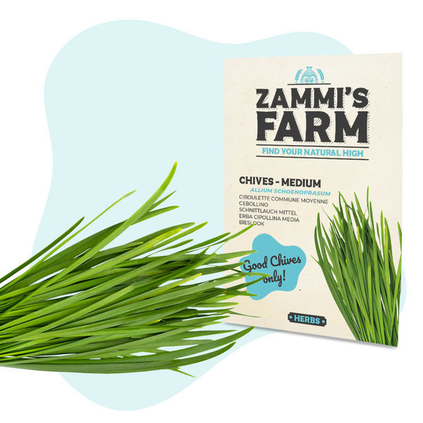 Kit de sementes de ervas aromáticas para cozinha - Zammi's Farm