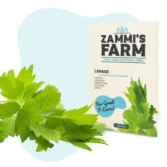 Kit de sementes de ervas aromáticas para cozinha - Zammi's Farm