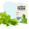 Kit de sementes de ervas aromáticas para cozinha - Zammi's Farm