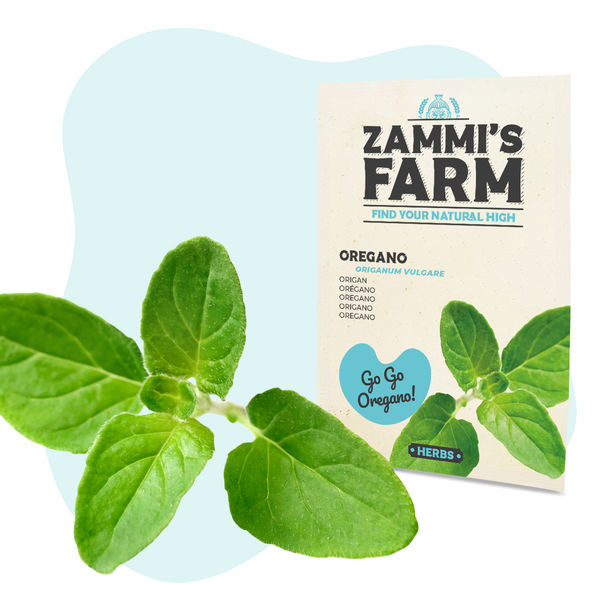 Kit de sementes de ervas aromáticas para cozinha - Zammi's Farm