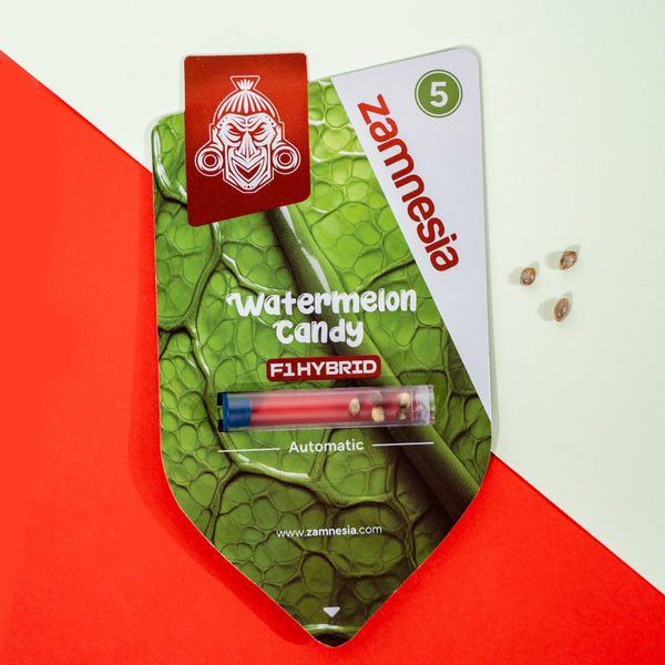 Watermelon Candy F1 Autoflorecente (Zamnesia Seeds) feminizada