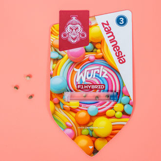 Wurlz F1 Autoflorescente (Zamnesia Seeds) feminizada