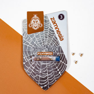 White Widow F1 Autoflorescente (Zamnesia Seeds) feminizada