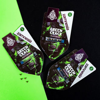 Green Crack F1 Autoflower (Zamnesia Seeds) feminizada