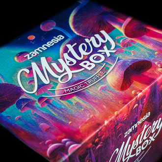 Caixa Mistério de Trufas Mágicas (Zamnesia)
