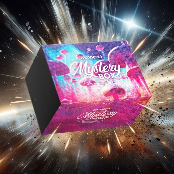 Caixa Mistério de Trufas Mágicas (Zamnesia)