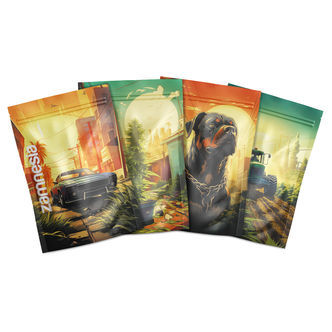 Bolsas de armazenamento Z-Lock Saint Andreas