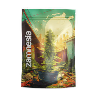 Saint Andreas Z-Lock Stash Bags (Grande)