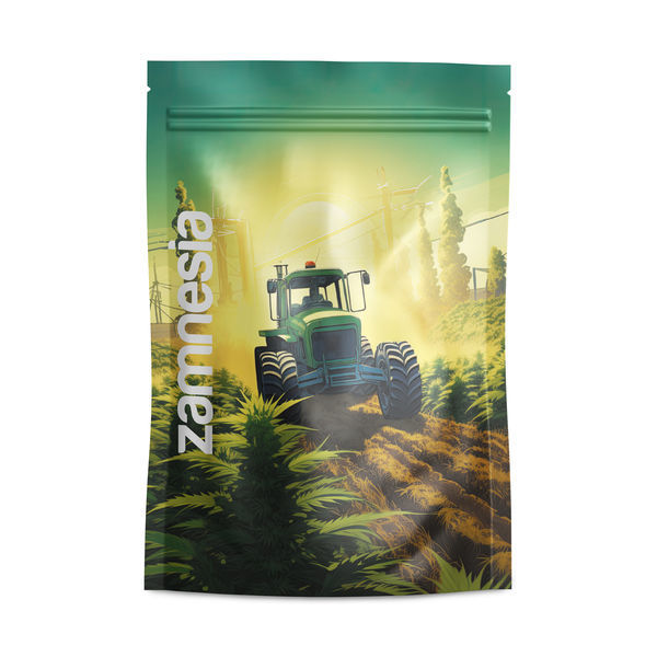 Saint Andreas Z-Lock Stash Bags (Grande)