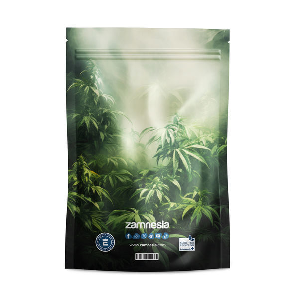 Bolsas Stash Z-Lock Monstrous Monsters (Grande)