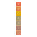 Incenso dos 7 Chakras (Sagrada Madre)