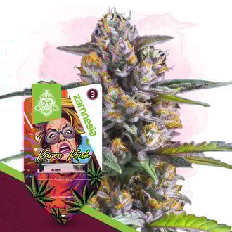 Karen Kush Autoflorescente (Zamnesia Seeds) feminizada