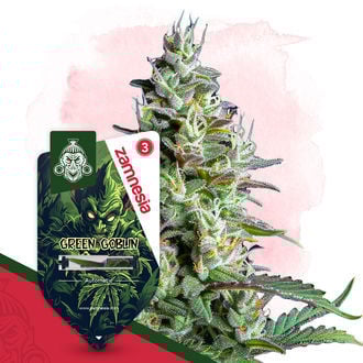 Green Goblin Autoflorescente (Zamnesia Seeds) Feminizada