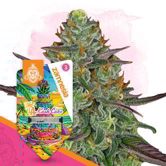 LA Kush Cake Autoflorescente (Zamnesia Seeds) feminizada