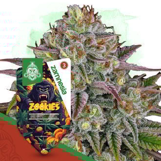 Zookies feminizada (Zamnesia Seeds)