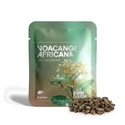 Voacanga africana (5 gramas)