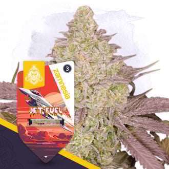 Jet Fuel Autoflower (Zamnesia Seeds) feminizada