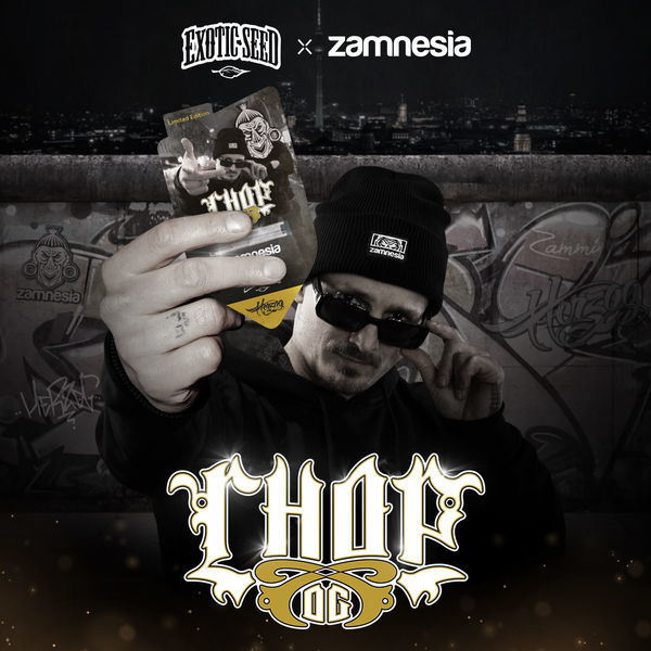 Chop OG (Exotic Seed x Zamnesia Seeds) Feminizada