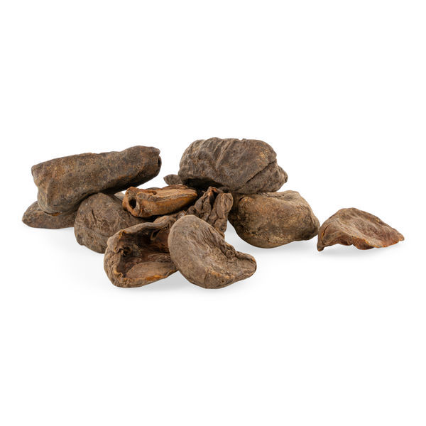 Noz-de-cola – Cola nitida