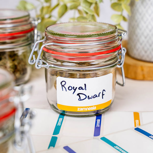 Etiquetas adesivas para rotulagem (Zamnesia) – 50 unidades