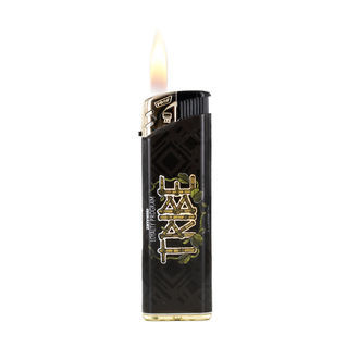 Prof. Lighter (TRIBE)