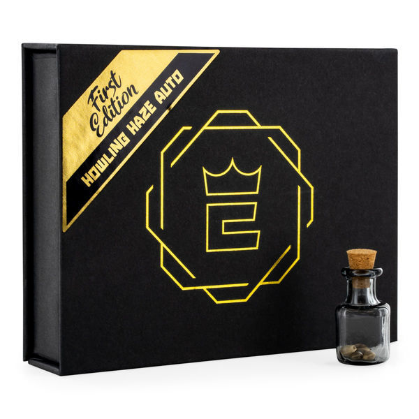 Howling Haze Auto (Zamnesia Seeds) feminizada