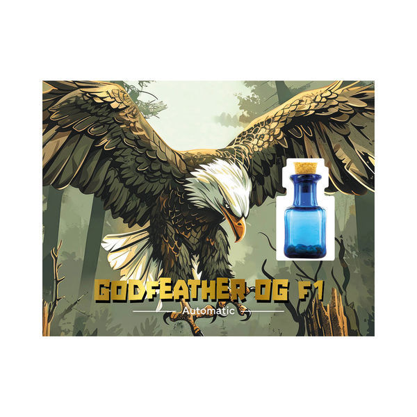 Godfeather OG F1 Autoflorecente (Zamnesia Seeds) Feminizada