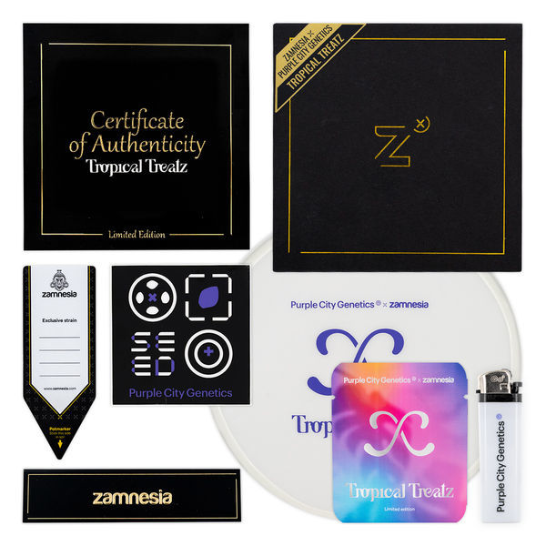 Tropical Treatz (Purple City Genetics x Zamnesia Seeds) feminizada