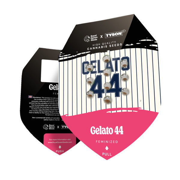 Gelato 44 (Royal Queen Seeds) Feminizado