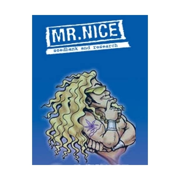 NL5 x Afghan (Mr. Nice) regular