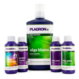 Top Grow Box 100% Natural (Plagron)