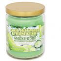 Vela Cool Cucumber & Honeydew (Smoke Odor Exterminator)
