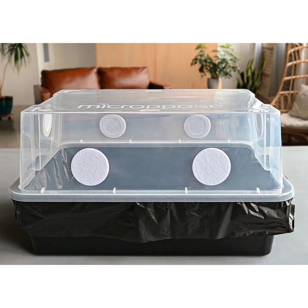 Monotub "Mark 1" para cultivo de cogumelos (Microppose)