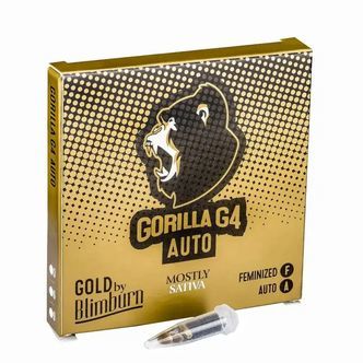 Gorilla Glue 4 Auto (Blimburn Seeds) feminizada