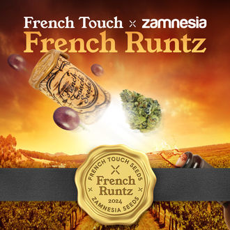 French Runtz (French Touch Seeds x Zamnesia Seeds) feminizada