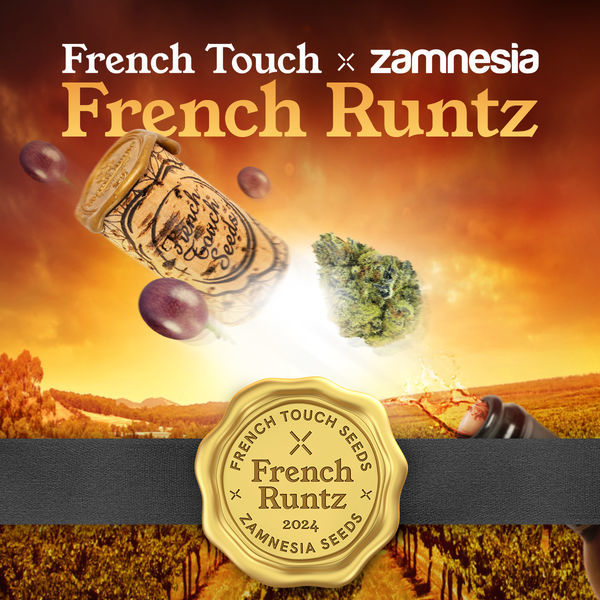 French Runtz (French Touch Seeds x Zamnesia Seeds) feminizada