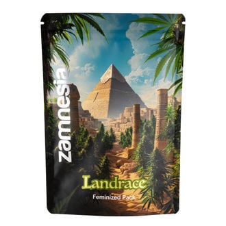 Landrace Pack - Variedades Feminizadas