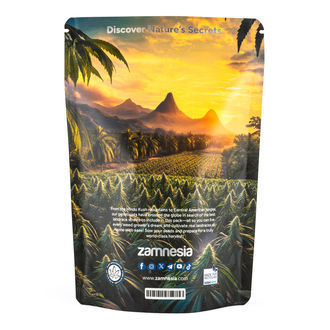 Landrace Pack - Variedades Feminizadas