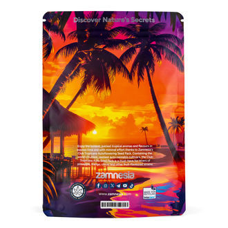Club Tropicana Pack - Variedades Autoflorescentes