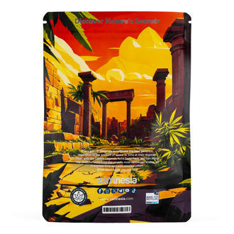 Classic Legends Pack - Variedades Autoflorescentes