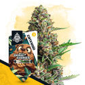 Wild Things Pack - Variedades Autoflorescentes