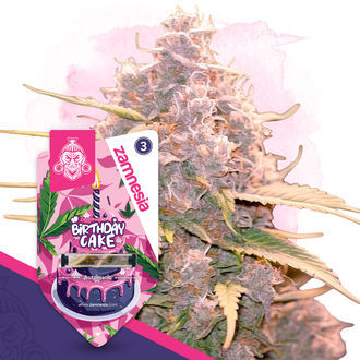 Pack Sobremesas - Variedades Autoflorescentes