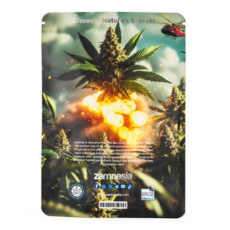 O F1 Power Pack - Sementes híbridas F1