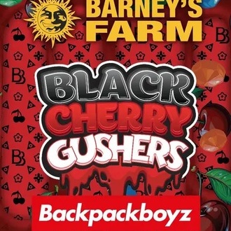 Black Cherry Gushers (Barney's Farm x Backpackboyz) feminizada