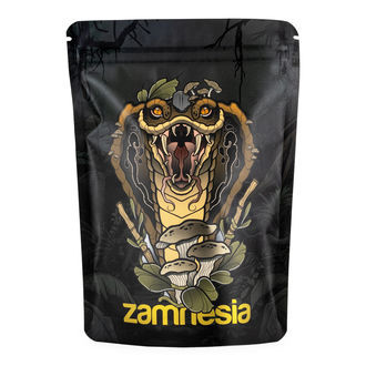 Sacos de armazenamento Rising Cobra Z-Lock - Grandes