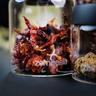 Frasco de vidro VacuFresh (Zamnesia)