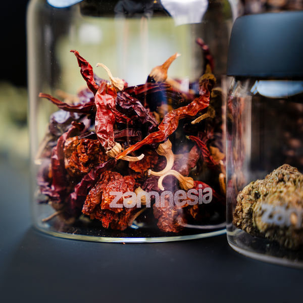 Frasco de vidro VacuFresh (Zamnesia)