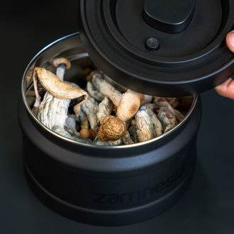 Recipiente de aço inoxidável VacuFresh (Zamnesia)